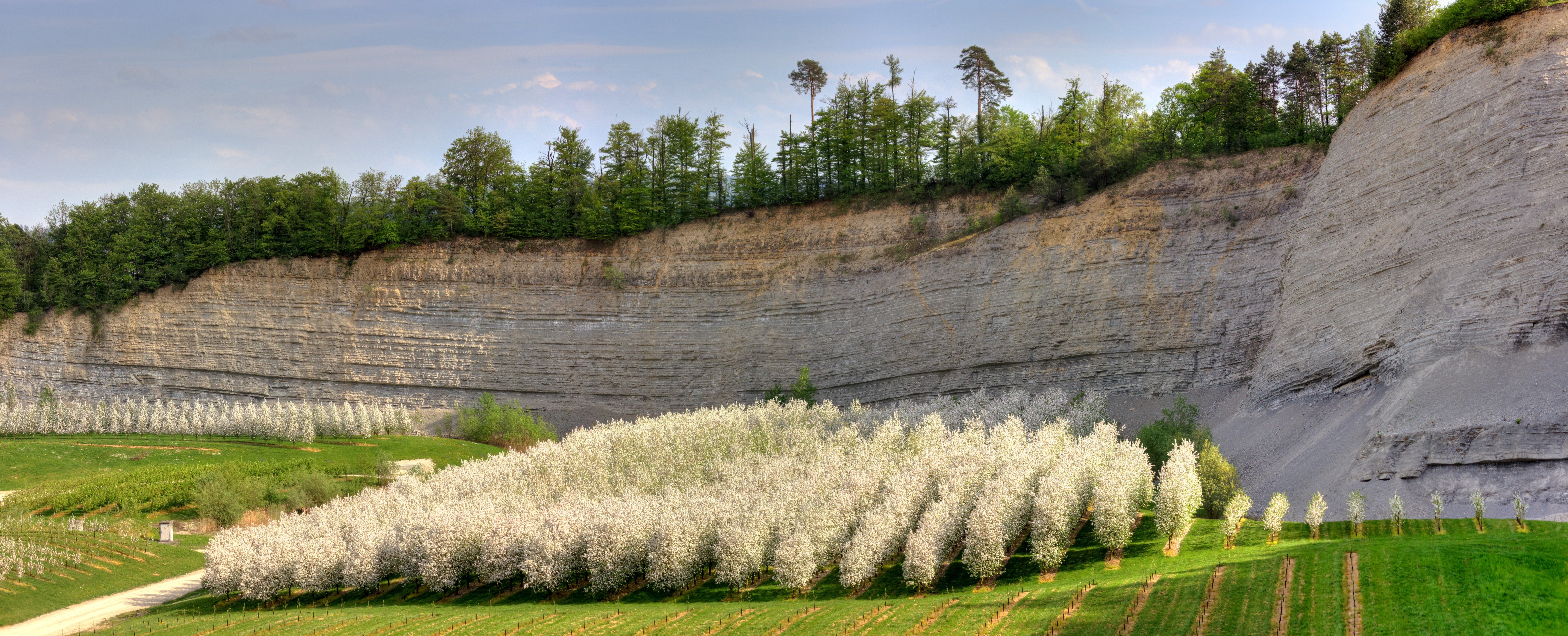 Apfelplantage Steinbruch