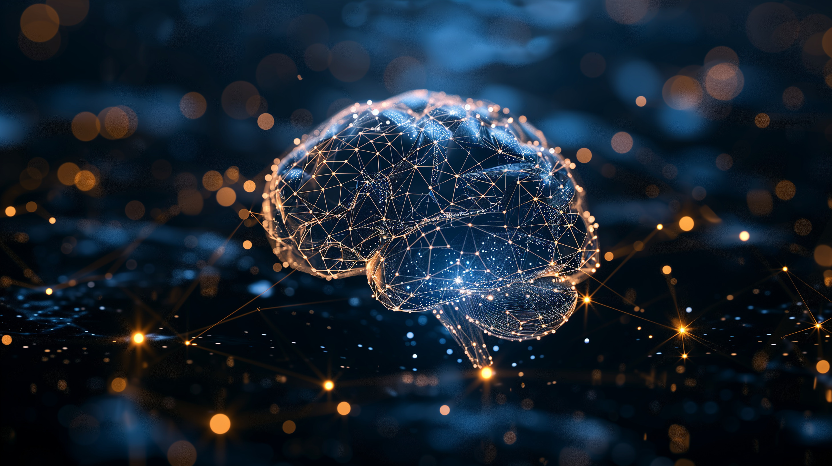 Adobestock 705516847